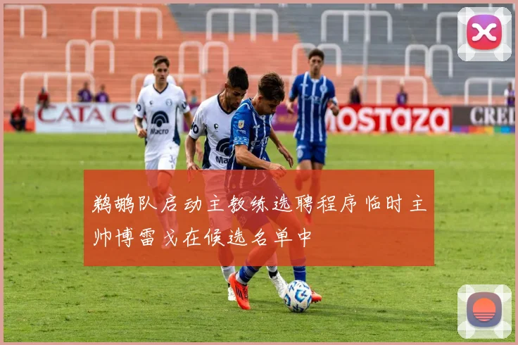 鹈鹕队启动主教练选聘程序临时主帅博雷戈在候选名单中