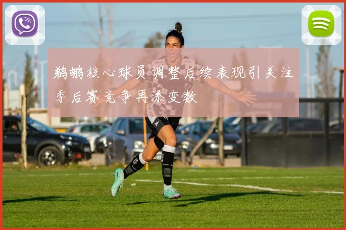 鹈鹕核心球员调整后续表现引关注季后赛竞争再添变数