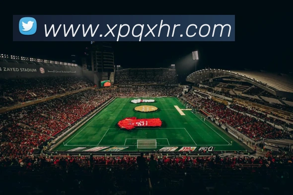 星空官方登录入口APP 封面图